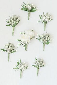 white flowers arranged in the shape of a heart on a white background with green leaves