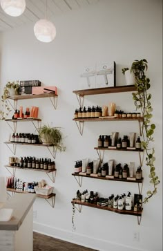 shelves filled with bottles and plants on the wall in a salon or beauty shop,