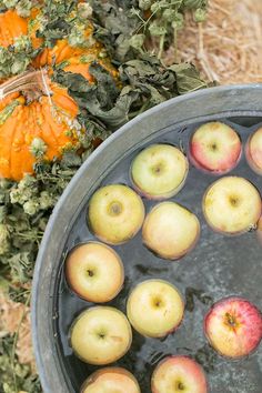 apples are floating in a bucket full of water next to pumpkins and gourds