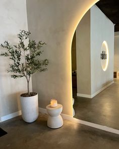 a potted plant sitting on top of a white table next to a vase with a tree in it