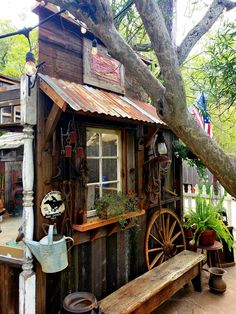 an old wooden shed with plants growing out of the windows and a bench in front