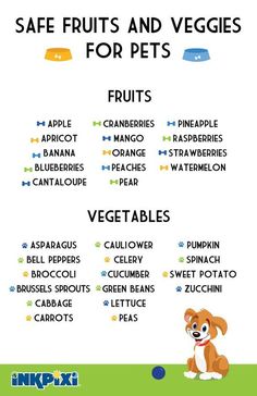 an info sheet with the words safe fruits and veggies for pets