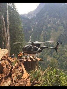 a helicopter that is sitting on top of a tree stump in the woods with people around it