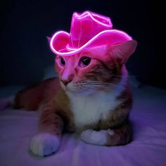 a cat wearing a pink light up cowboy hat on top of it's head