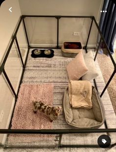 a dog is standing in its kennel and looking down at the floor below it