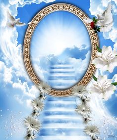 an artistic photo with white flowers and birds in the sky above stairs leading to heaven