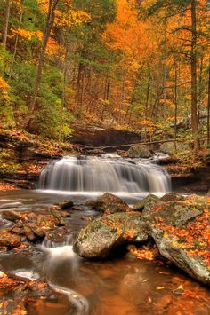 a small waterfall in the middle of a forest filled with trees and rocks covered in fall leaves