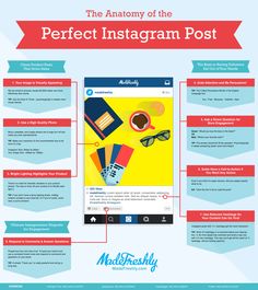 the anatomy of the perfect instagram post info graphic by madbunchy com