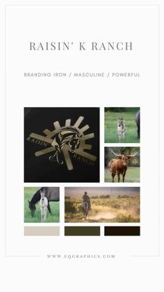 the cover of raisin'k ranch branding