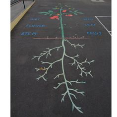 a chalk drawing of a tree with leaves and flowers on the pavement in front of a parking lot