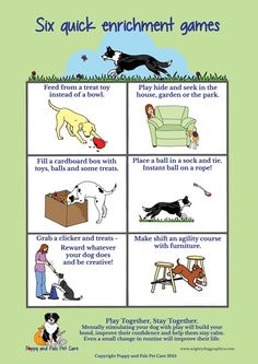 a poster with four different types of dogs and their owner's doghouse rules