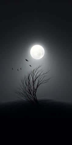 birds flying in front of the moon on a foggy night with trees and branches