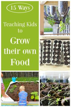 several pictures with the words teaching kids to grow their own food in them, including seedlings