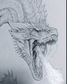 a drawing of a dragon with its mouth open