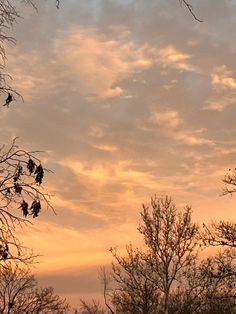 an airplane is flying in the sky with trees and clouds behind it at sunset or dawn