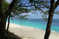 the beach is surrounded by trees and water