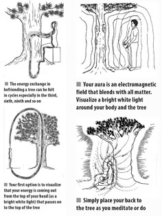 Reverend Crystal Cox Universal Church of Light: The Healing Abilities of Trees Spirit Science, Energy Healing Spirituality, Les Chakras, Ancient Knowledge, Chakra Meditation, Spirituality Energy, Sanskrit, Spiritual Healing, Spiritual Art