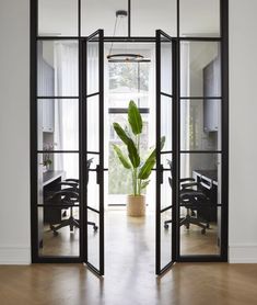 an open glass door with a potted plant in the center and office desks behind it