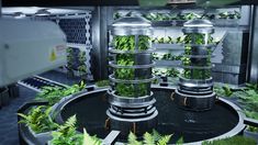 a planter filled with lots of green plants next to a metal structure in the middle of a room