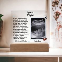 an x - ray image is displayed on a shelf next to a potted plant