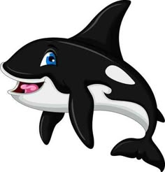 an orca jumping in the air with its mouth open and tongue out, on a white