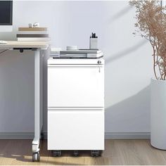 a white desk with a computer on it and a plant in the corner next to it