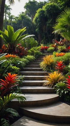 an outdoor garden with steps and tropical plants