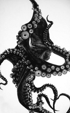 an ink drawing of an octopus with tentacles and eyeballs on it's face