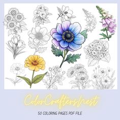 coloring pages with flowers and plants for adults