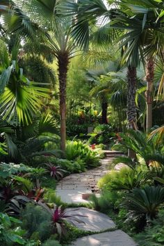 a garden with palm trees, plants and stone walkway leading to the top of it