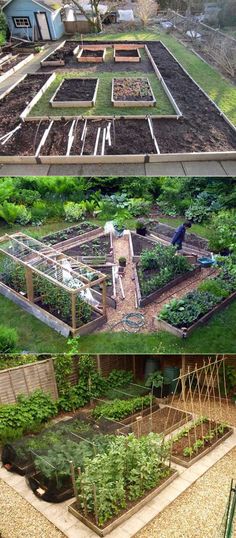 several different types of garden beds with plants growing in them and on the other side