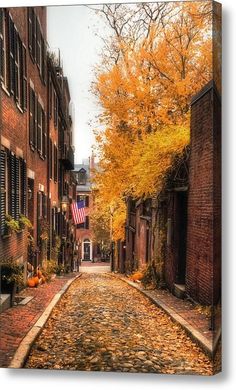 an alley way with brick buildings and autumn leaves on the ground in front of it