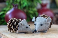 two small hedgehogs are sitting next to each other on a wooden board with pine cones