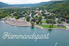 an aerial view of a small town on the water