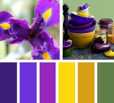 there are many different shades of purple and yellow