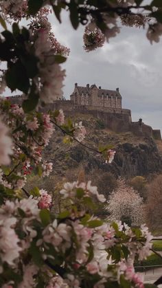 a castle on top of a hill with trees in the foreground and flowers in the foreground