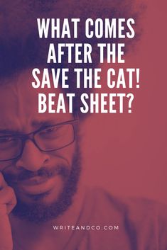 a man with glasses talking on his cell phone and the caption says, what comes after the save the cat beat sheet?