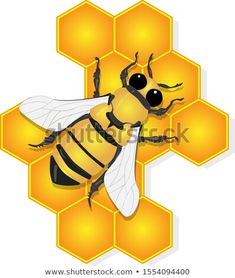 a bee sitting on top of a honeycomb