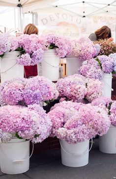 several buckets filled with purple and white flowers