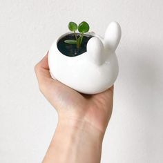 a hand holding a small white planter with a green sprout growing out of it