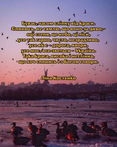 birds are sitting on the ice in front of a sunset with words written below them