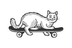 a cat sitting on top of a skateboard in black and white ink art style