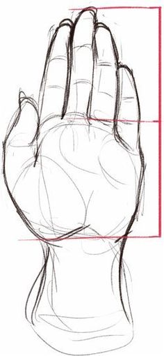 a drawing of a hand with three different lines