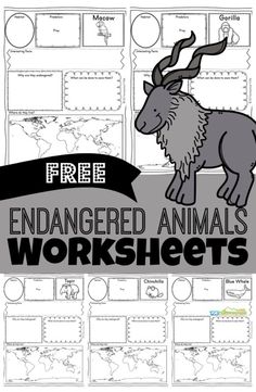 an animal worksheet with the text free