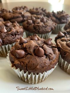 several chocolate muffins are on a white plate