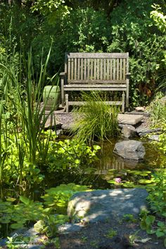 a wooden bench sitting on top of a lush green field next to a small pond