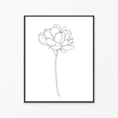 a black and white drawing of a single flower on a white background, framed in a black frame