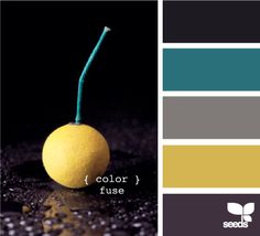 Master bedroom color scheme!! Black comforter, teal sheets, gray walls, yellow accents (nightstand) Gray Palette, Color Palette Yellow, Teal And Grey, Grey Kitchens, Gray Bedroom, Yellow Accents, Colour Board, Kitchen Colors