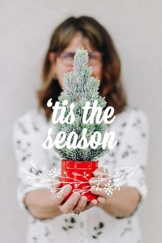 a woman holding a potted plant with the words tis the season written on it