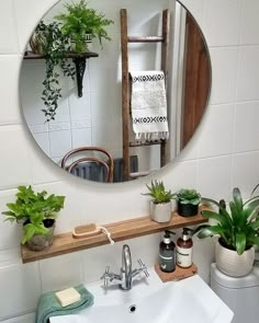 a bathroom sink sitting under a mirror next to a wooden shelf filled with potted plants